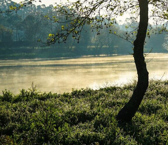 Ideas for Peaceful Weekend Mornings to Start Your Day Right