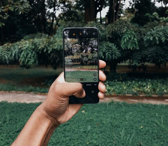 Beginner Tips for Taking Better Phone Photos